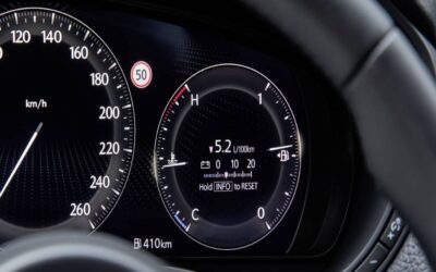 Enlace: ¿Hasta cuándo durará la etiqueta ECO de los microhíbridos?