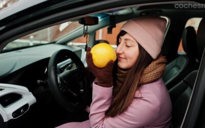 Enlace: ¿Cómo eliminar el mal olor del coche?