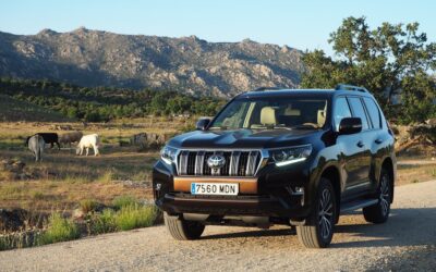 Enlace: Salimos a «pasear» con el Toyota Land Cruiser Limited: entre fincas anduvo el juego